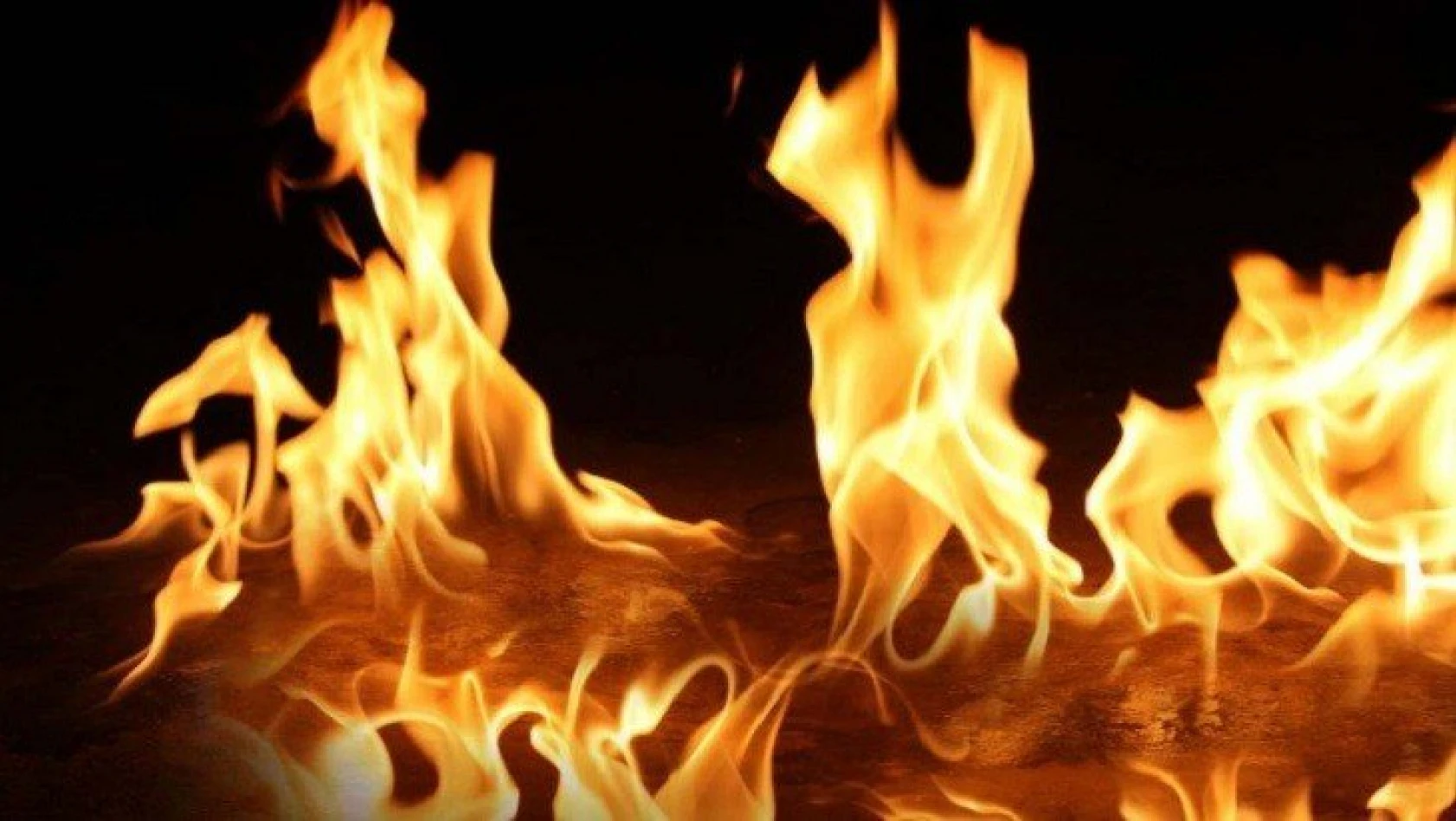 Çatalzeytin'de yangın: 1 ağır yaralı