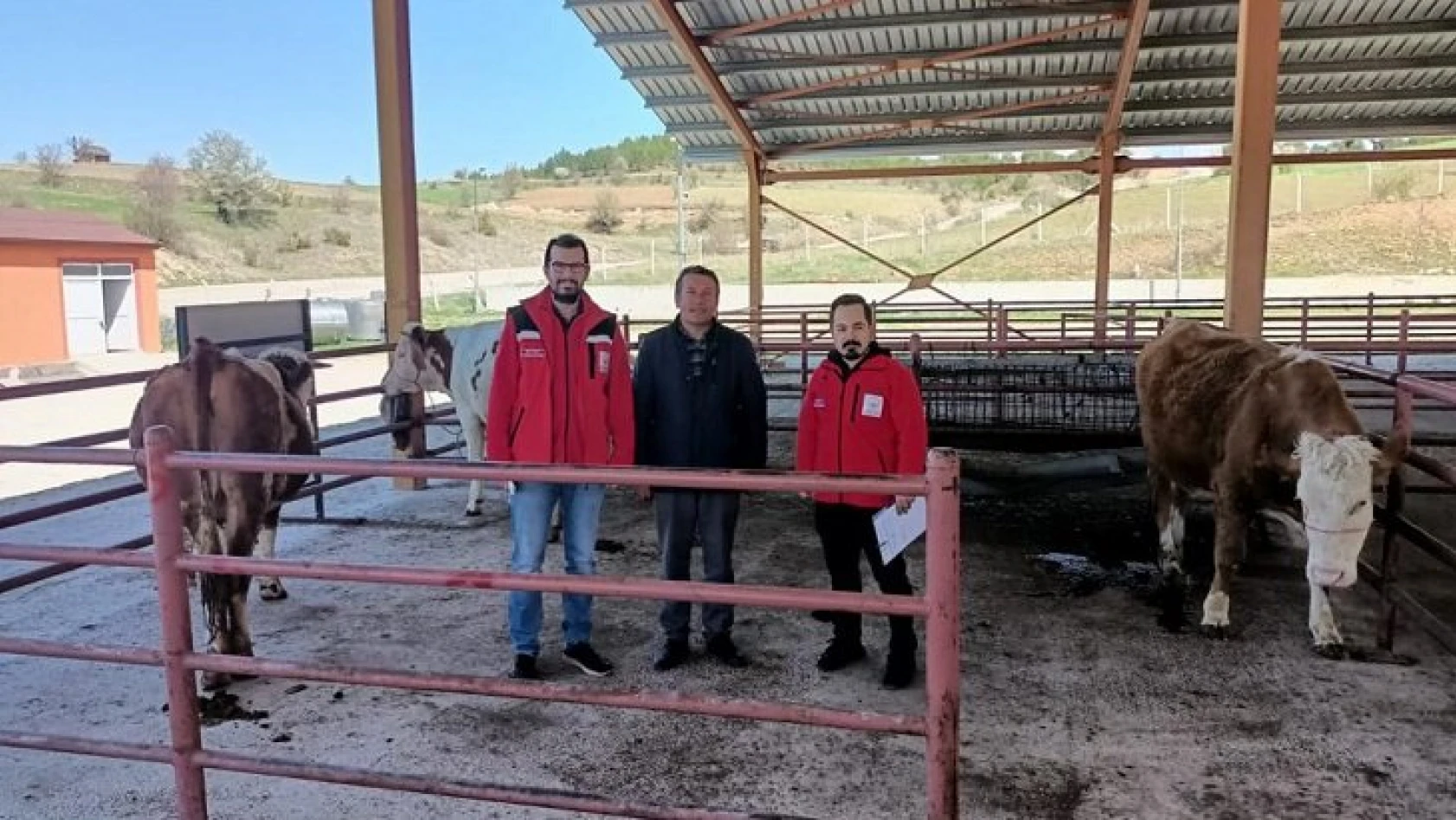 Hayvanları telef olan çiftçiye inek hediye edildi