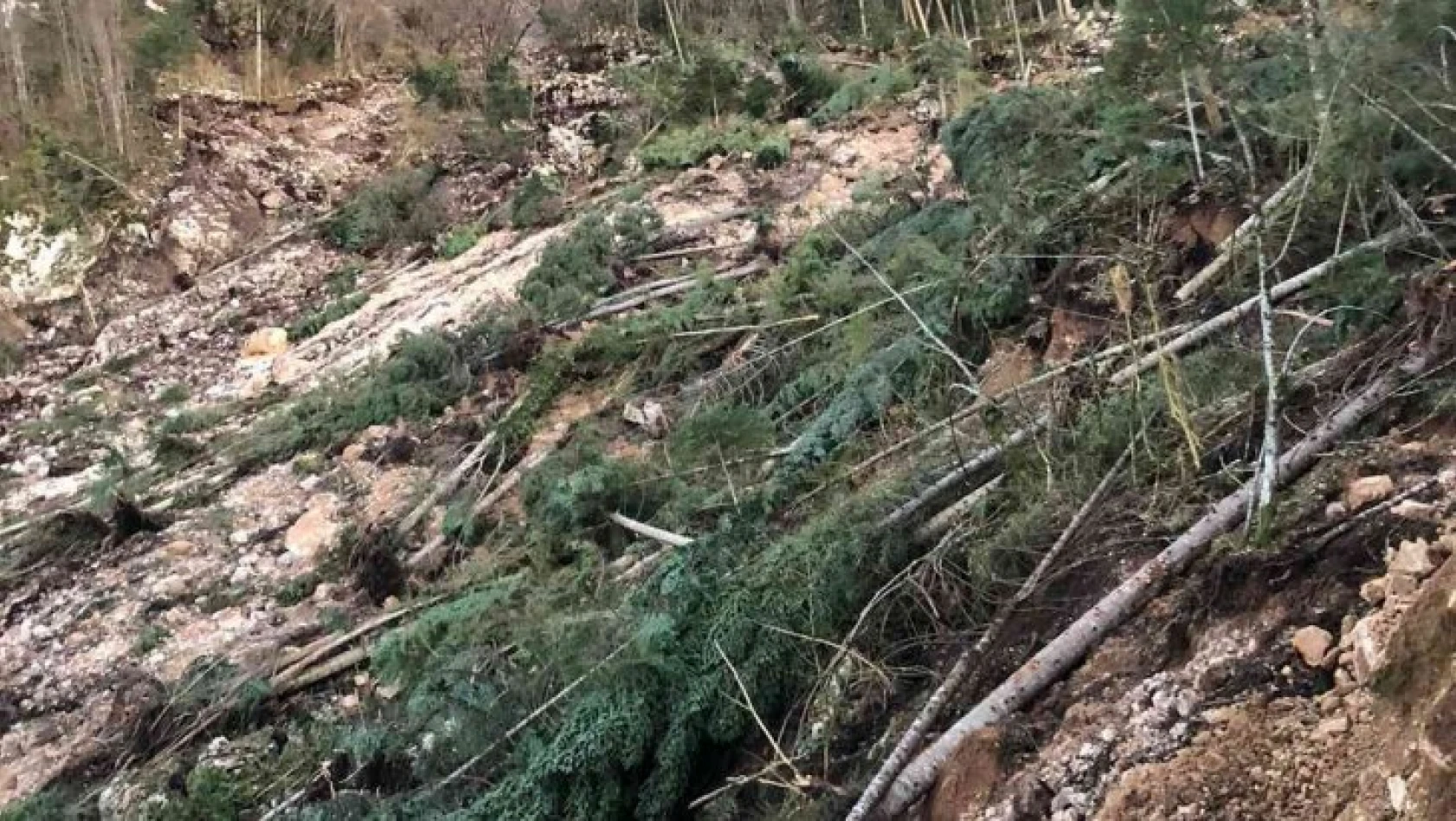 Pınarbaşı'daki heyelanda ağaçlar devrildi