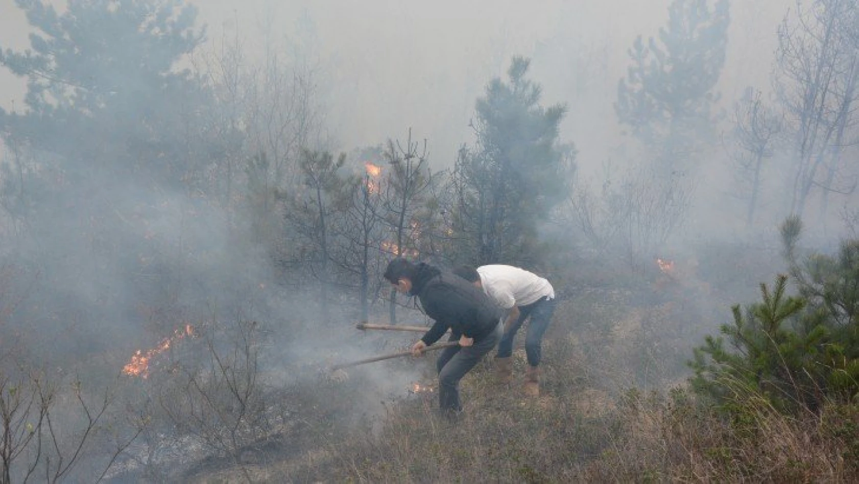 İnebolu'da orman yangınına müdahale ediliyor