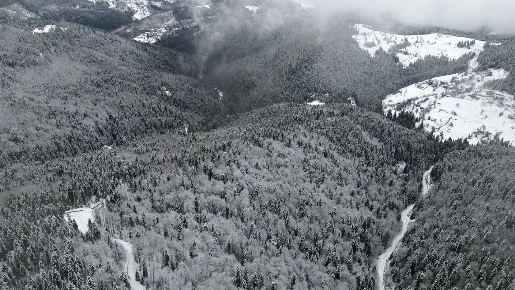 Karlı ormanlar havadan görüntülendi