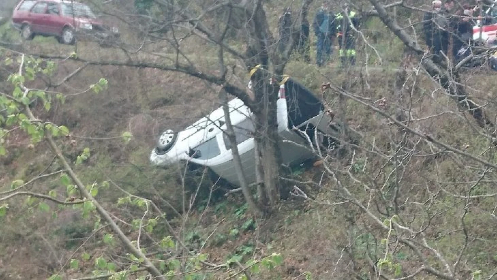 Bozkurt'ta hafif ticari araç şarampole devrildi: 2 yaralı