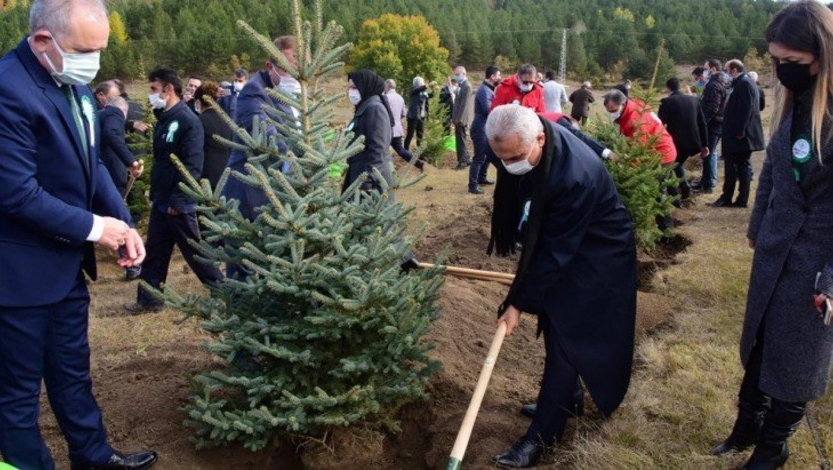 Kastamonu'da 'Milli Ağaçlandırma Günü' etkinliği düzenlendi