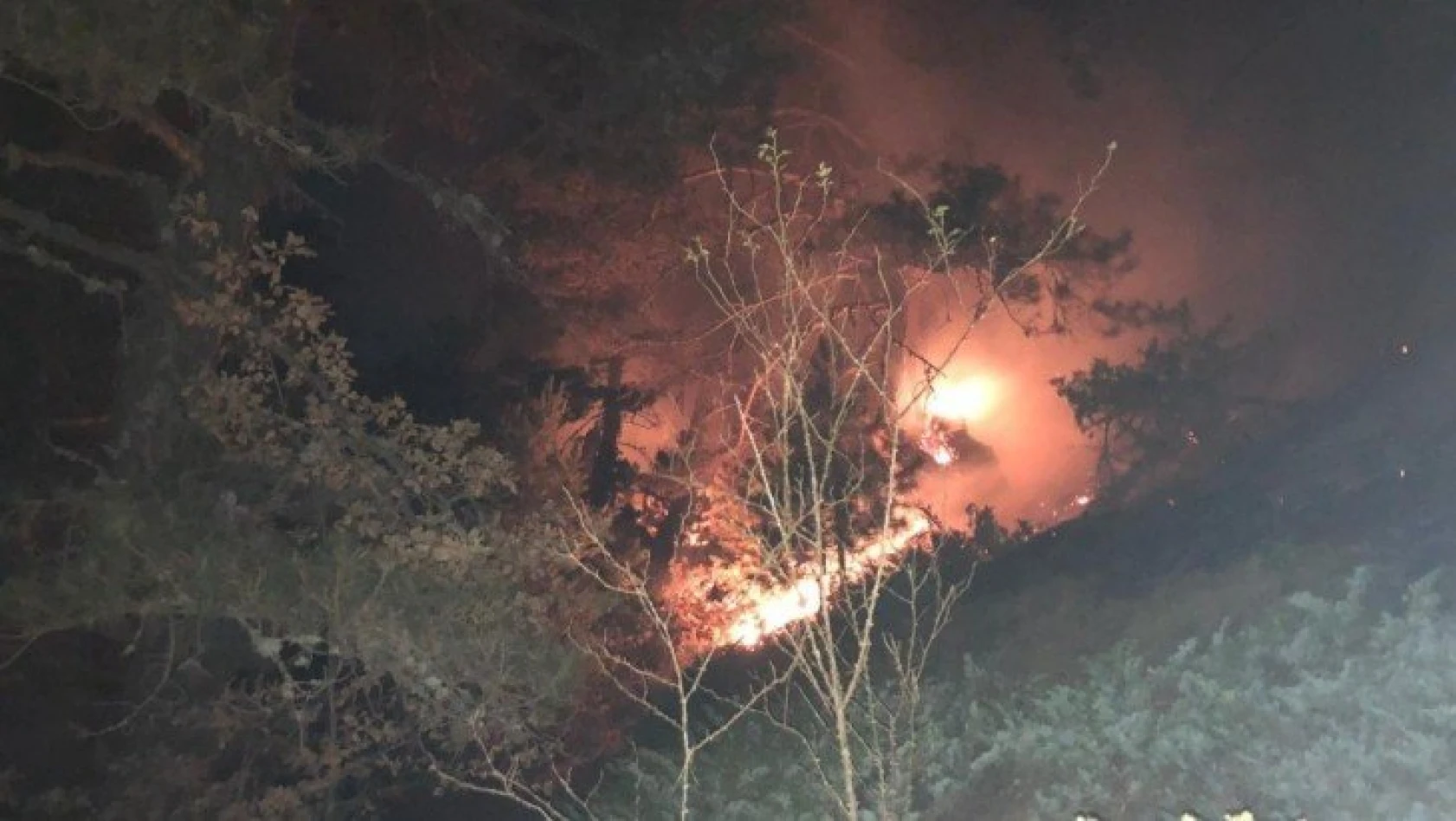Kastamonu'daki orman yangını yerleşim yerlerini tehdit ediyor