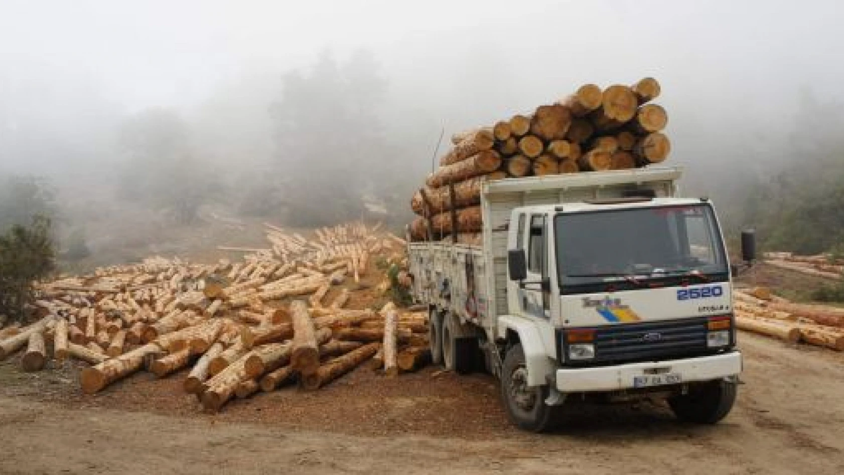 Kastamonu Odun Üretiminde 41 Milyon TL Gelir  Elde Etti