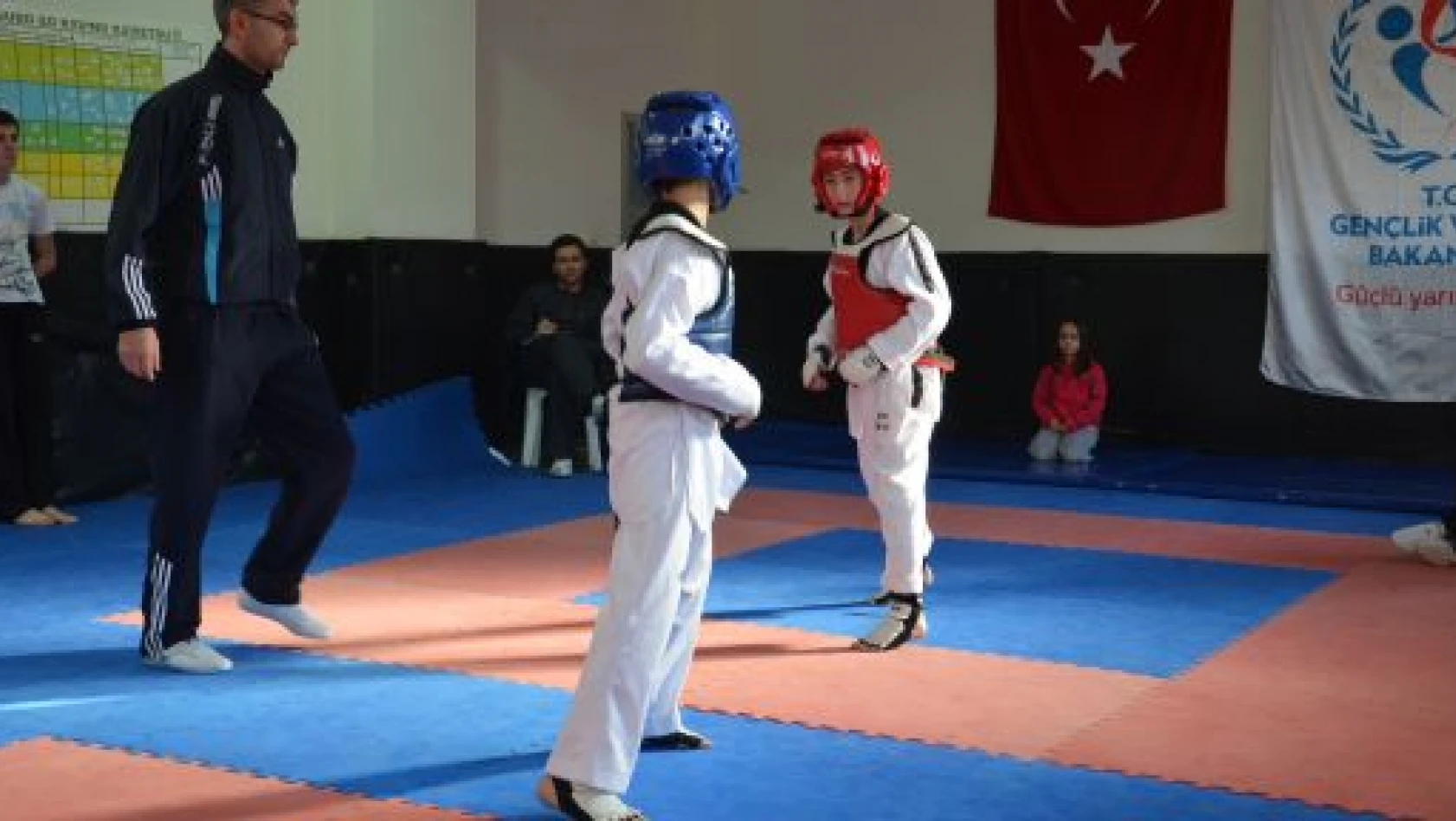 Kastamonu'da Anadolu Taekwondo Ligi Seçmeleri