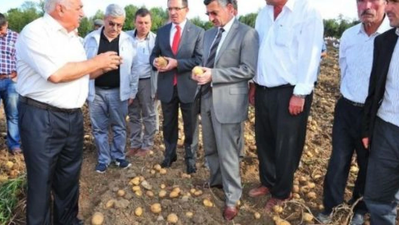Kastamonu'da Patates Tarla Günü Düzenlendi 
