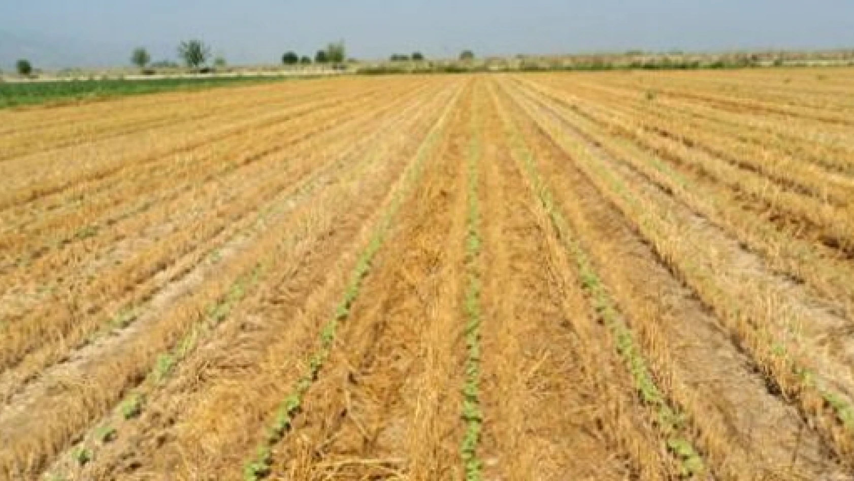 Kastamonu'da Tarımsal Alanlar Azalıyor