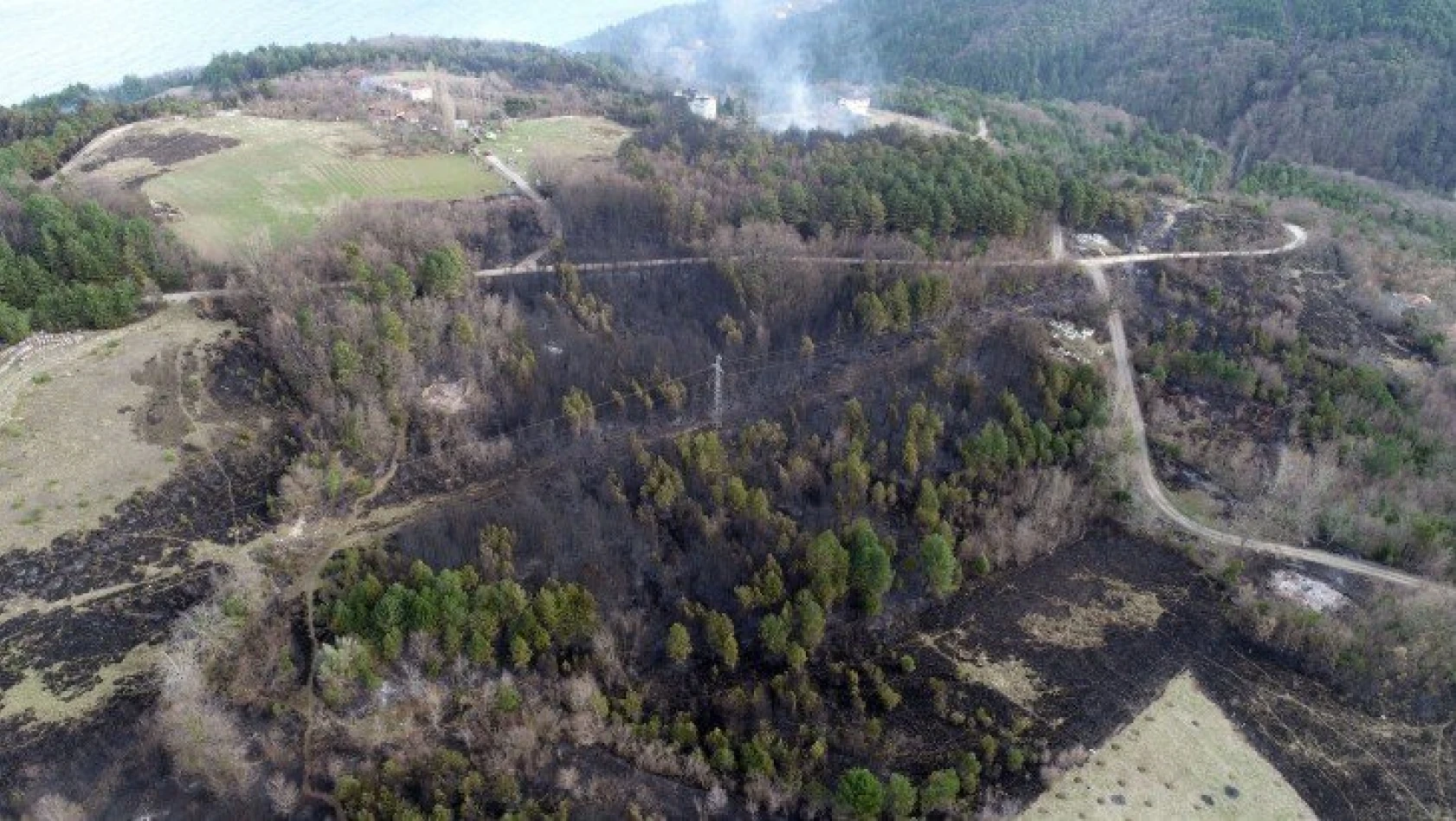 Ormanlık alan ve mahalledeki yangında 30 hektar alan zarar gördü