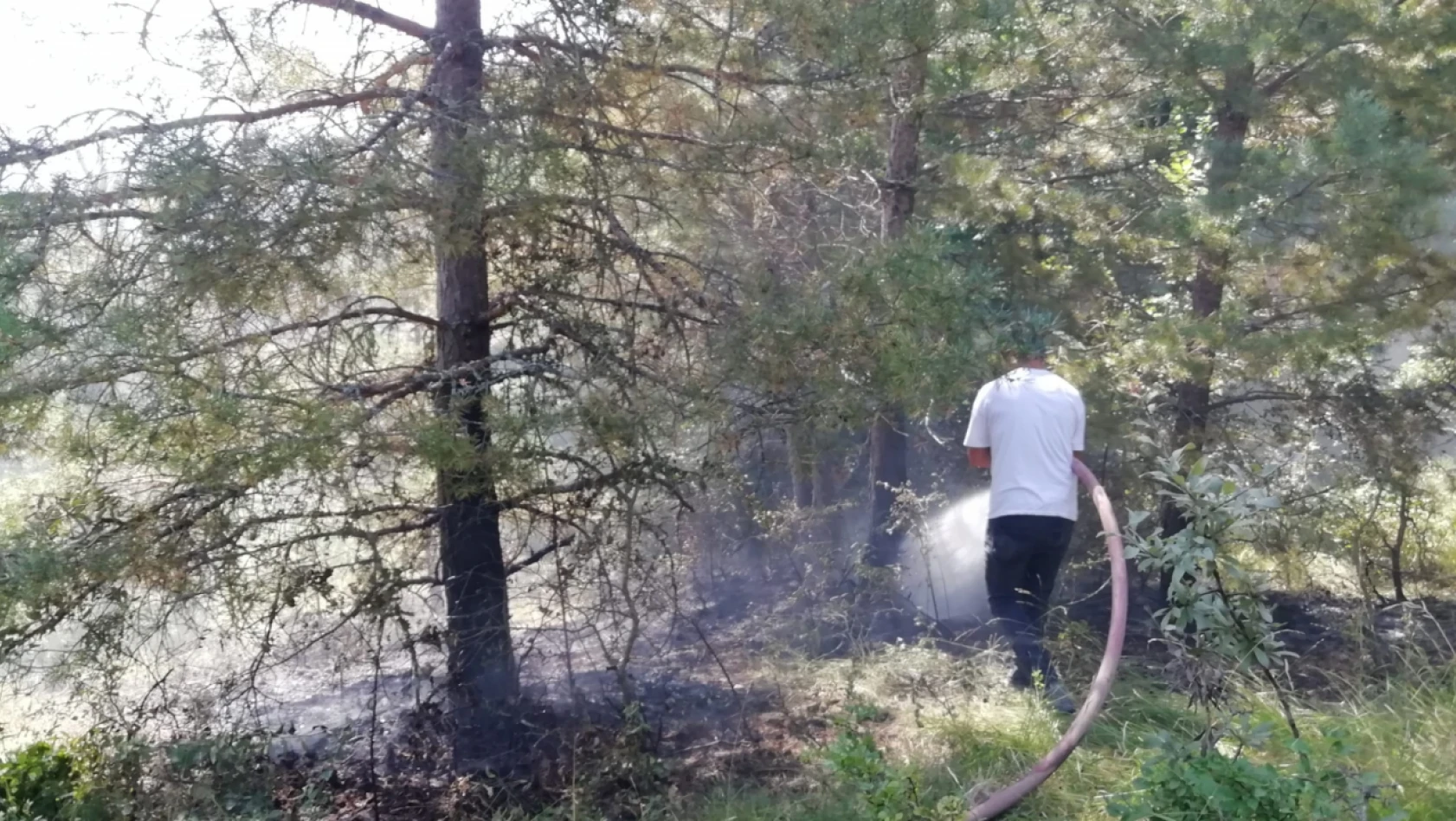 Pınarbaşı'da orman yangını