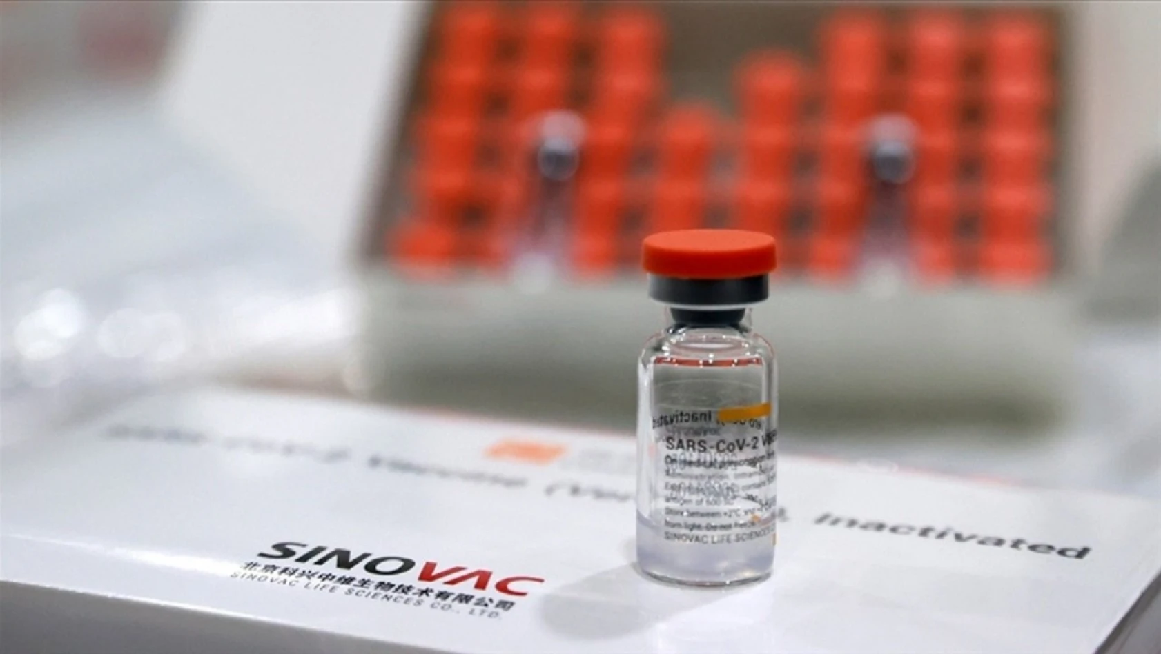 Sinovac aşısı bu kanser türüne faydalı