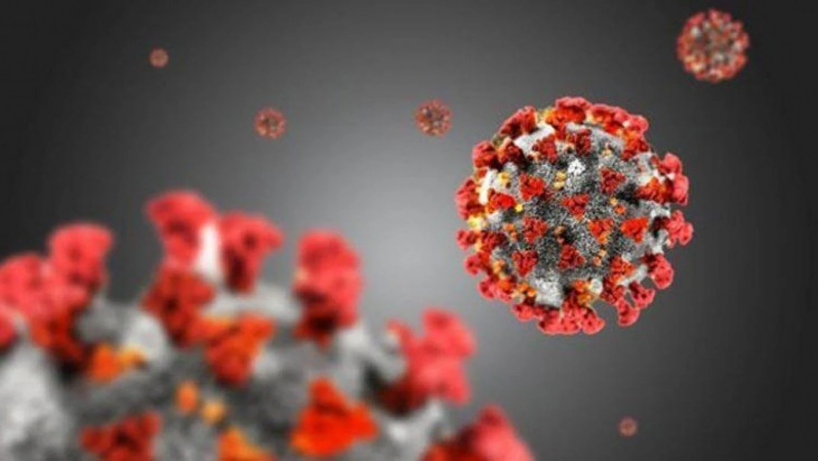 17 Ocak tarihli koronavirüs tablosu