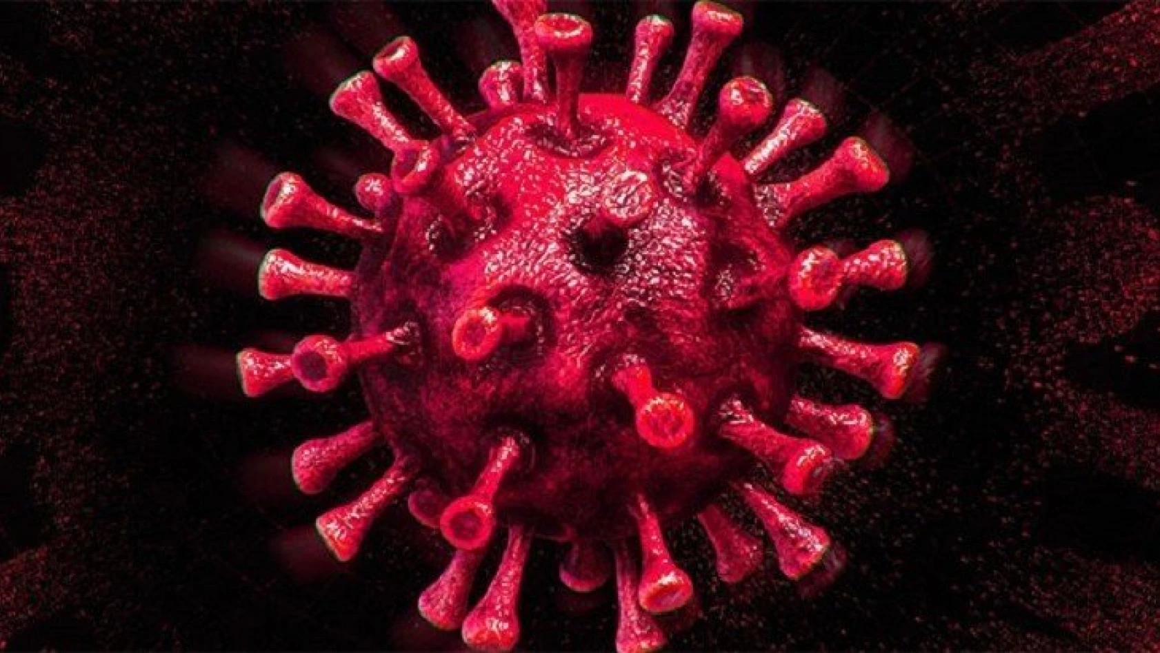 Koronavirüste son durum! Vaka sayısı yükselişte