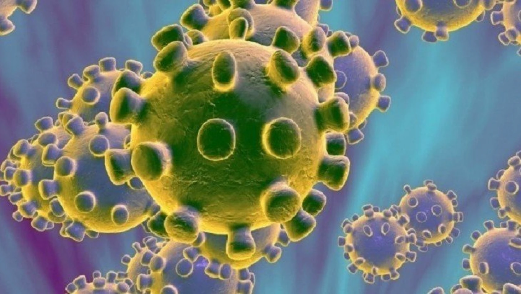 Koronavirüs tablosu açıklandı! Detaylar
