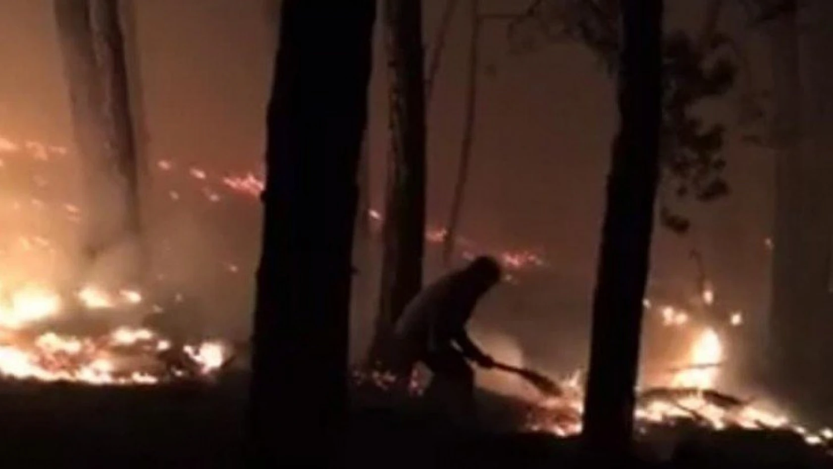 Taşköprü'de çıkan orman yangını kontrol altına alındı