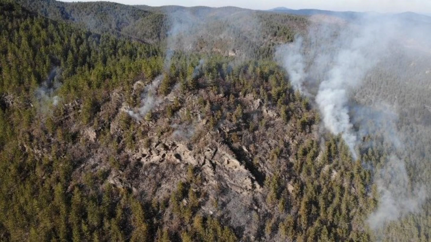 Taşköprü ve Boyabat sınırında 2 ayrı orman yangını