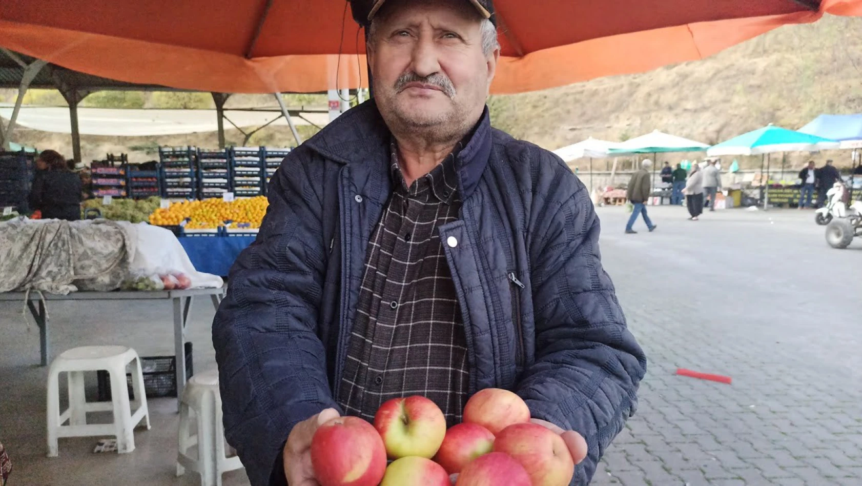 Tosya'da 1350 ton elma rekoltesi elde edildi