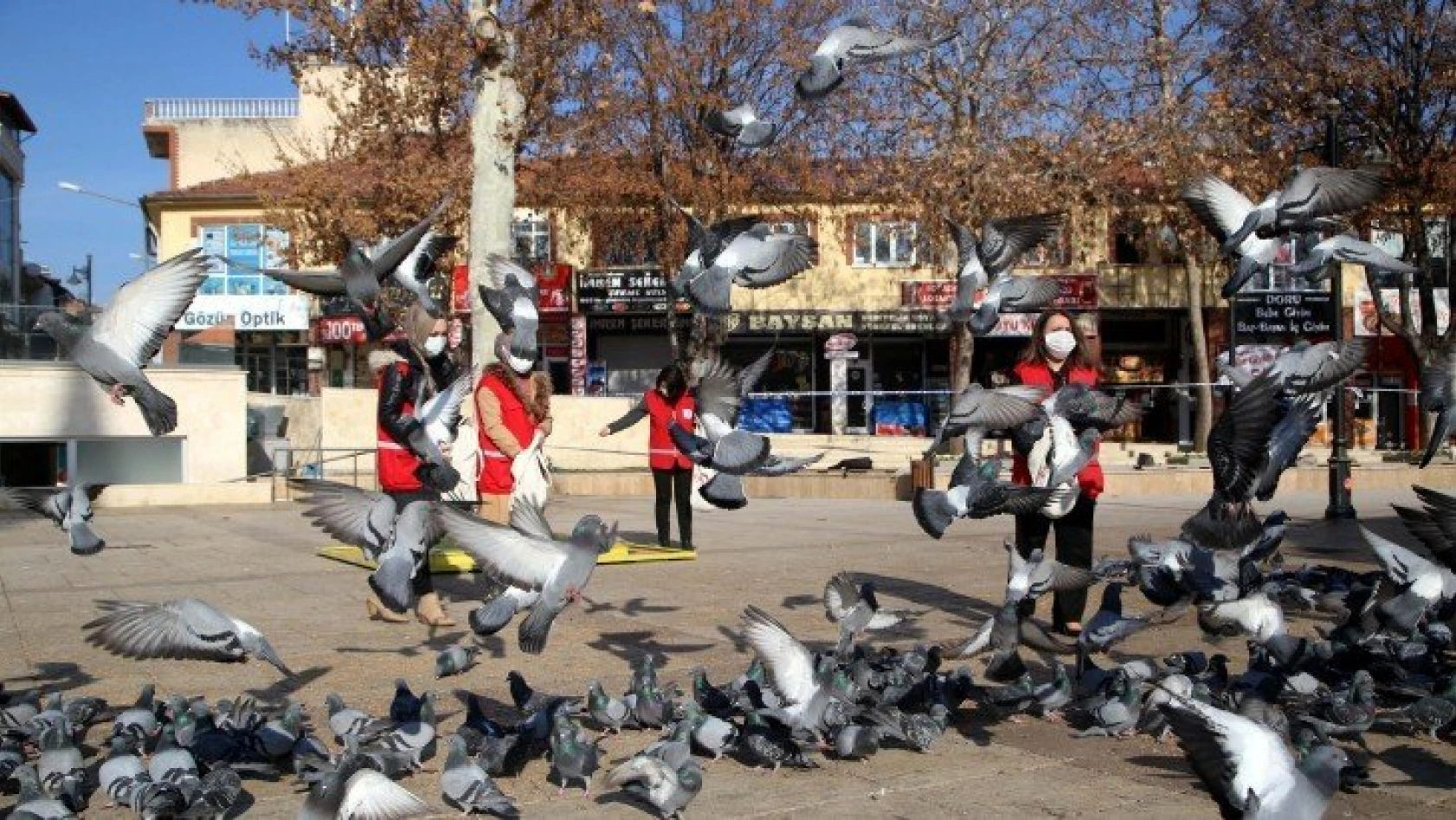 Türk Kızılay kısıtlamada kuşlar ve sokak hayvanlarını unutmadı
