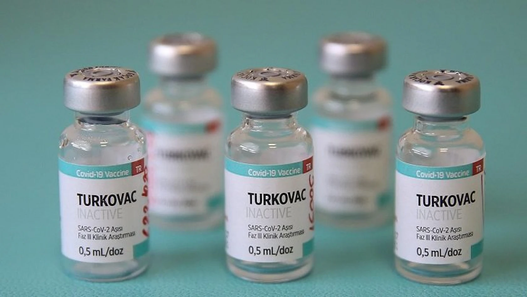 Turkovac aşısı Kovid'den ölümü önlüyor