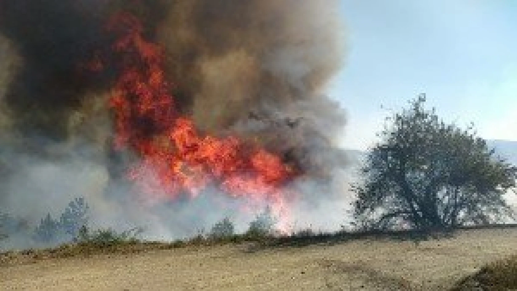 Daday'da 1 hektarlık ormanlık alan yangında zarar gördü