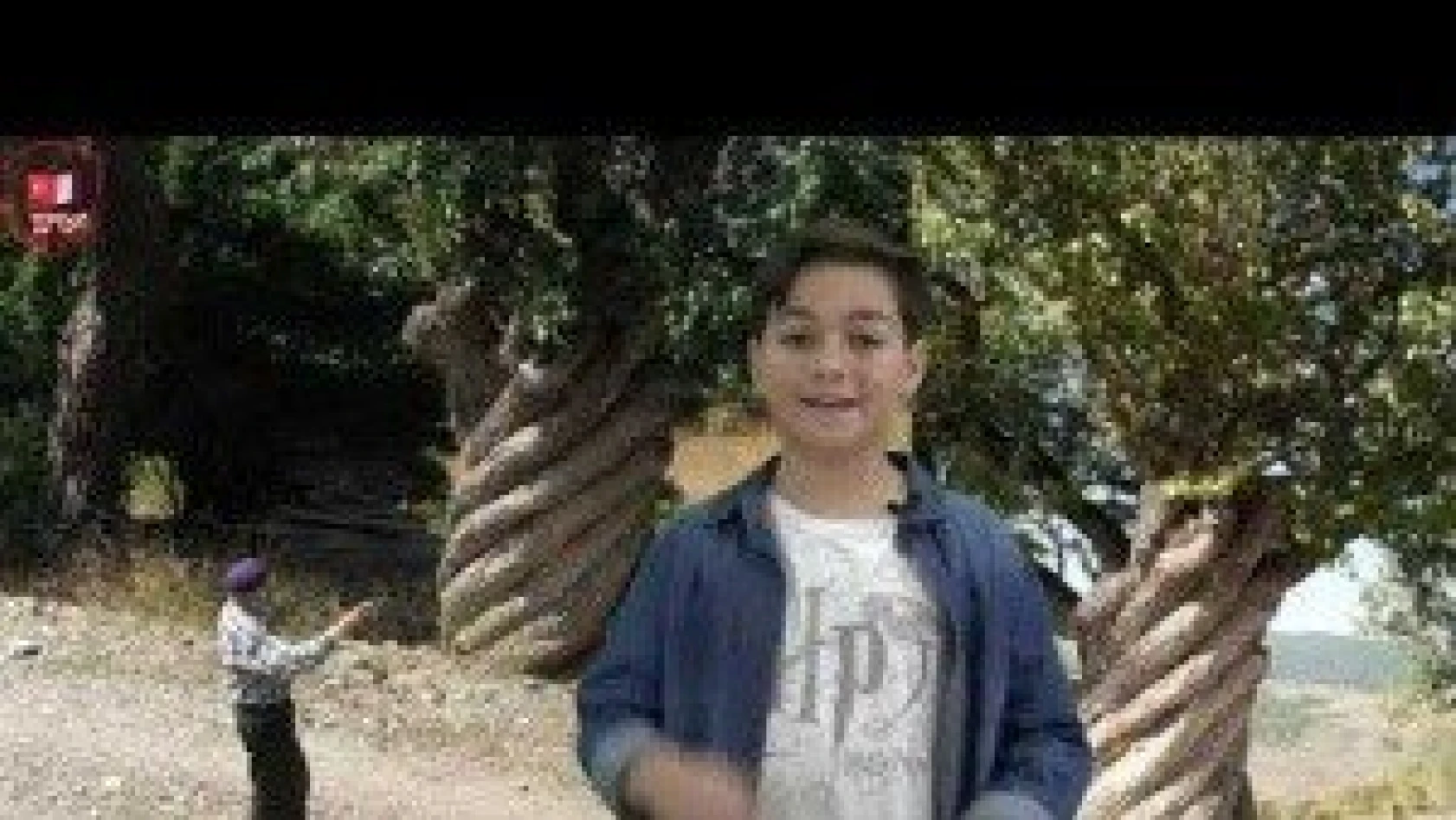 Türk Okulu'ndan Kastamonu'daki 'burgulu armut ağacı' için klip
