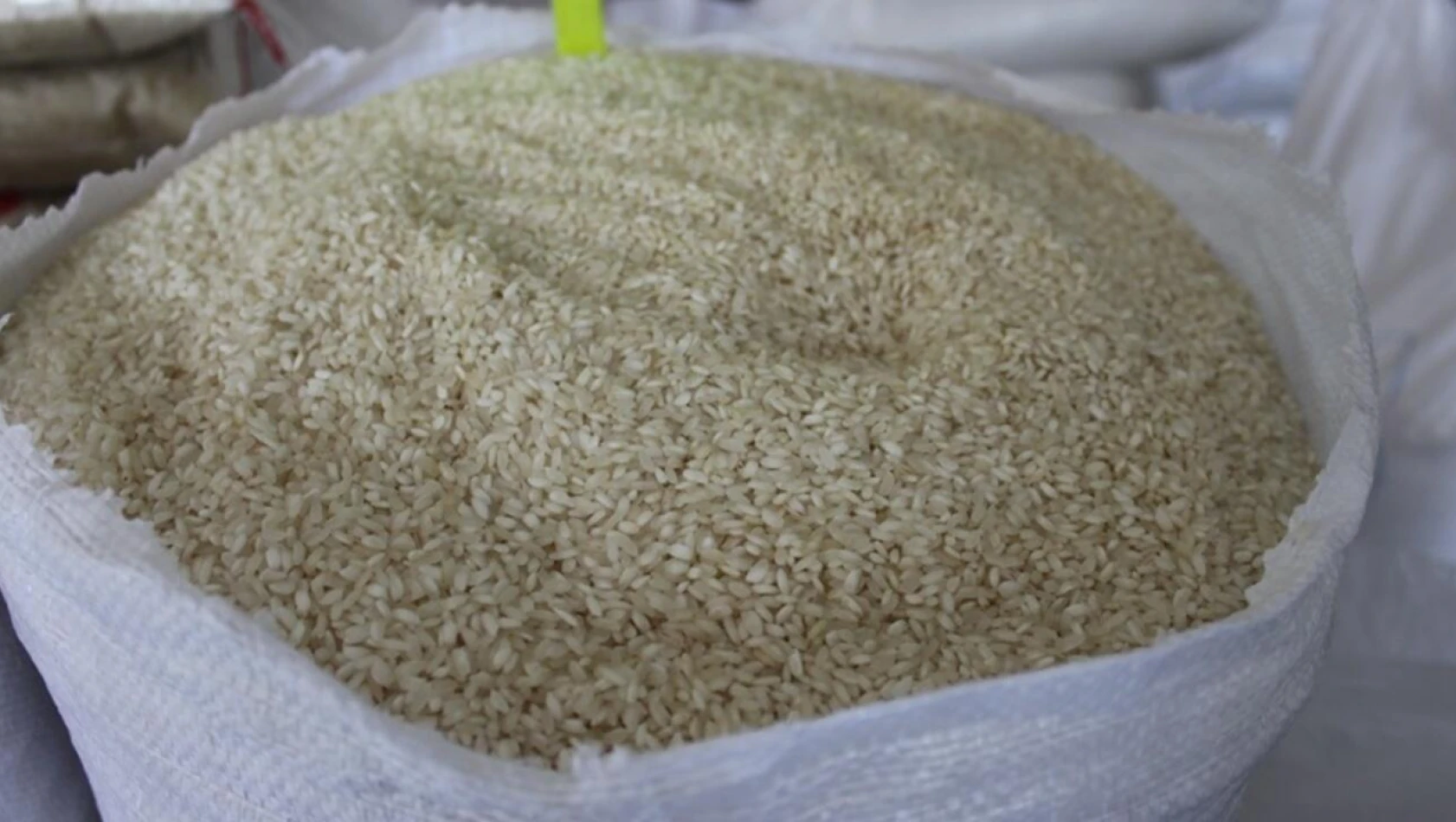 Tosya'da yeni sezon pirinci satışa sunuldu