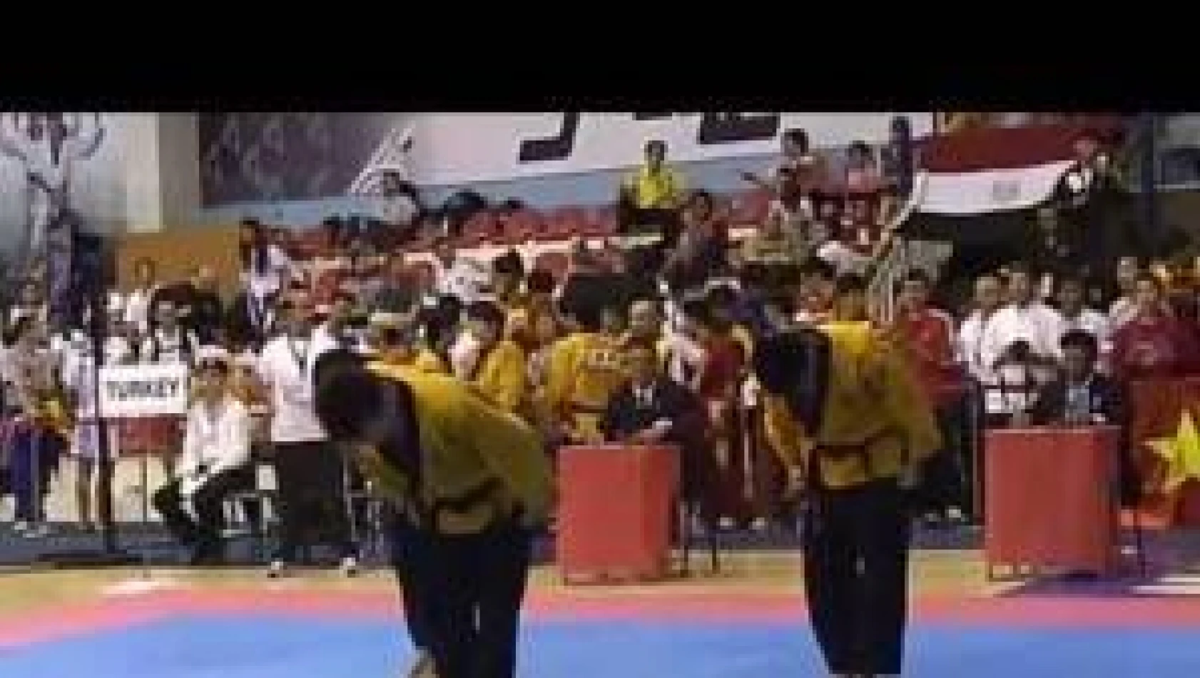 2011 Yılı Dünya Şampiyonası-Poomse Pyongwon Senkron