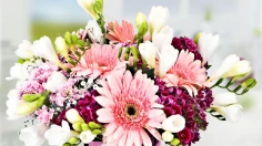 Kastamonu için en popüler çiçekler ve anlamları