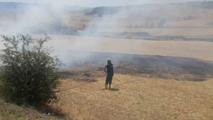 Tosya'da arazi yangını