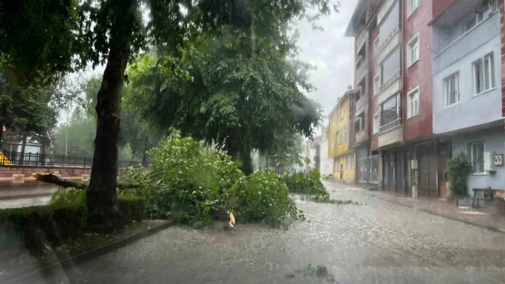 Sağanak hayatı olumsuz etkiledi