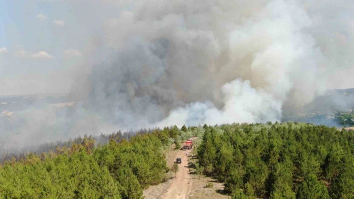 Kastamonu'da orman yangını! Müdahale sürüyor