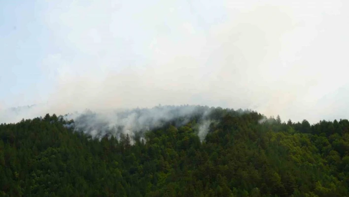 İhsangazi'deki orman yangını devam ediyor