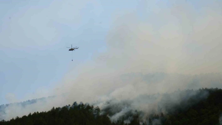 İhsangazi'deki orman yangınında son durum!