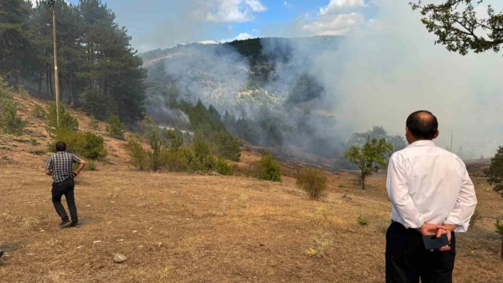 Kastamonu'daki orman yangını söndürüldü