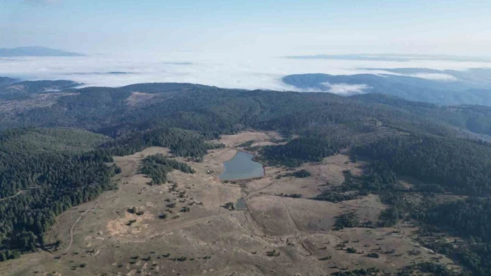 Kastamonu'da tabiat parkı olmaya aday yayla ve gölet